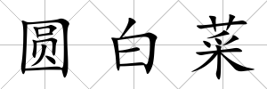 圓白菜