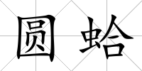 圓蛤