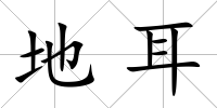 地耳