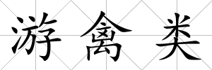 游禽類
