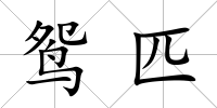 鴛匹