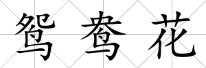 鴛鴦花