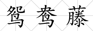 鴛鴦藤