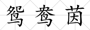 鴛鴦茵