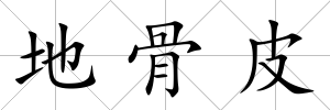 地骨皮