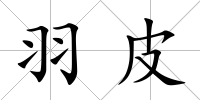 羽皮