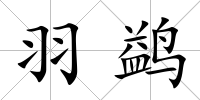 羽鹢