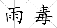 雨毒