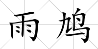 雨鳩