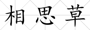 相思草