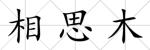 相思木
