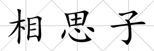相思子