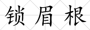 鎖眉根