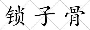 鎖子骨