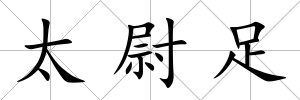太尉足