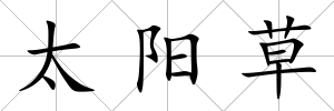 太陽草