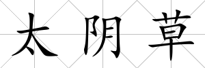 太陰草