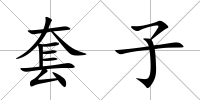套子