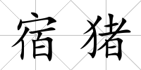 宿豬