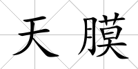天膜