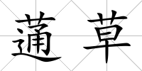 蓪草