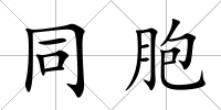 同胞