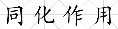 同化作用