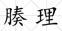 腠理
