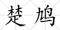 楚鳩