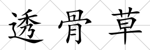 透骨草