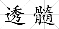 透髓