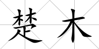 楚木