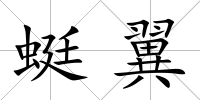 蜓翼