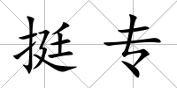 挺專