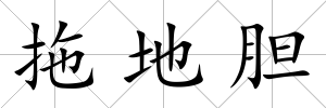 拖地膽