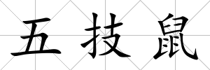 五技鼠