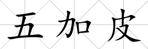 五加皮