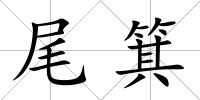 尾箕