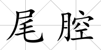 尾腔