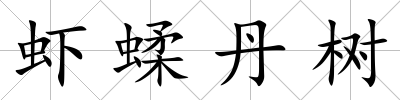 蝦蝚丹樹