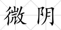 微陰