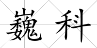 巍科