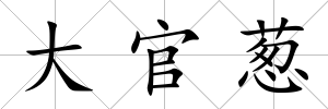 大官蔥