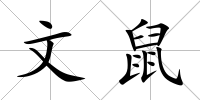 文鼠