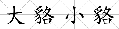 大貉小貉