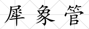 犀象管