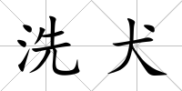 洗犬