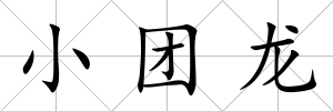 小團龍