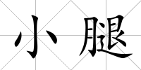 小腿