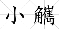 小觽